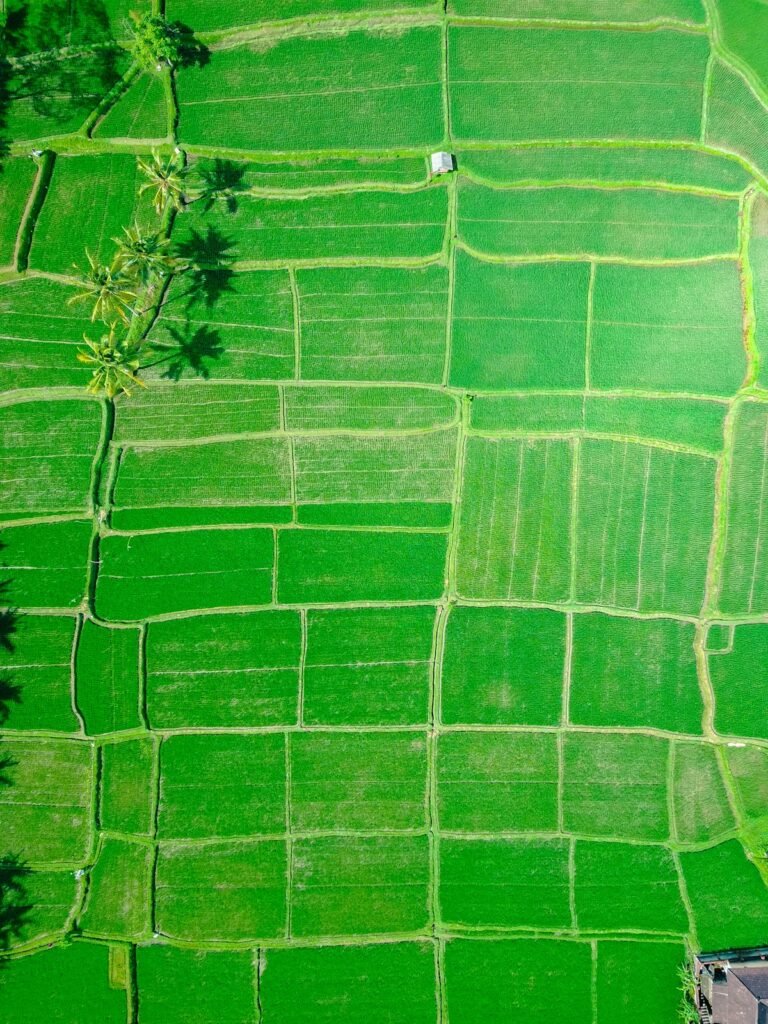 1 Month in Bali Budget: Where to Stay, Work and Explore - real test review for digital nomads