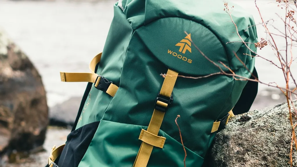 Best travel backpack backpack worn at airport for digital nomads
