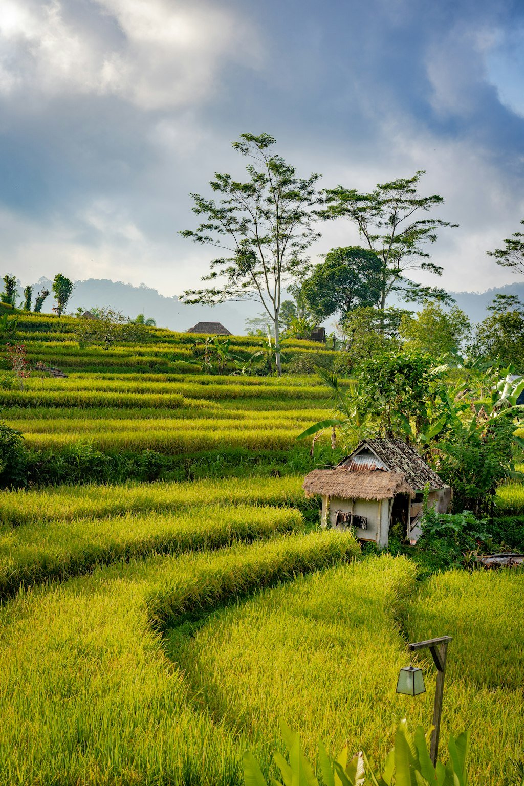 digital-nomad-guide-bali-2026-1