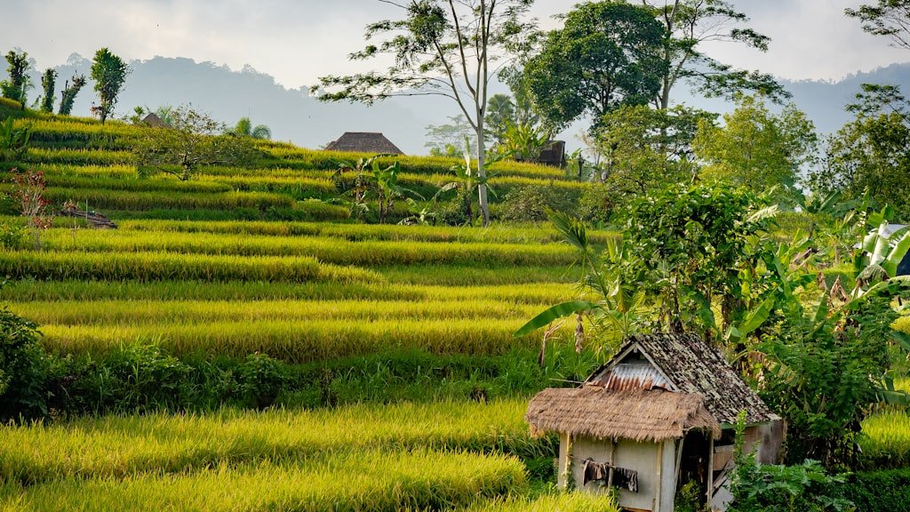 digital-nomad-guide-bali-2026-3