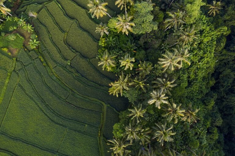 Digital Nomad Guide to Bali (Where to Live, Work, and Stay Sane - real test review for digital nomads