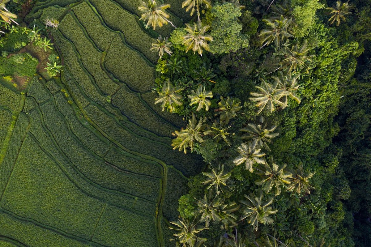 Digital Nomad Guide to Bali (Where to Live, Work, and Stay Sane - real test review for digital nomads