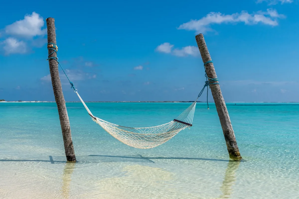 Digital nomad relaxing in hammock after building passive income streams while traveling