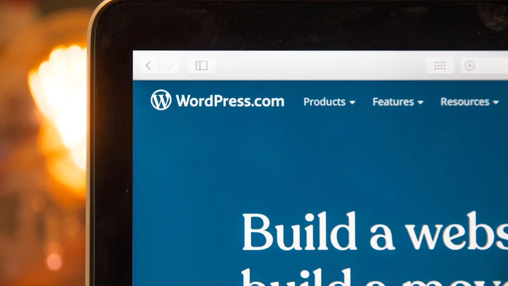 Webflow vs WordPress portfolio live portfolio website on screen for digital nomads