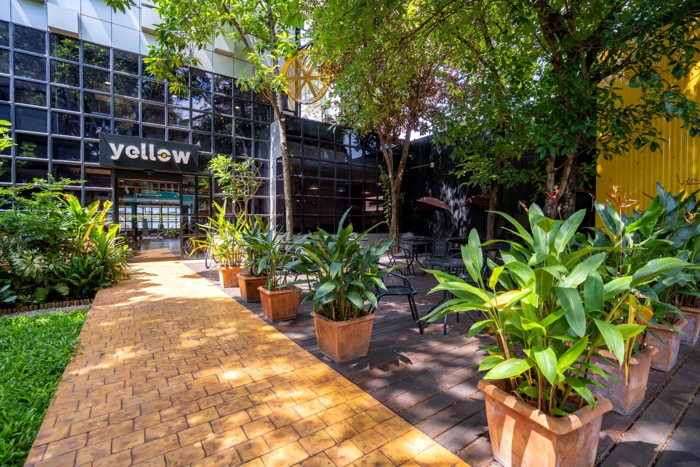 Yellow coworking space interior in Chiang Mai
