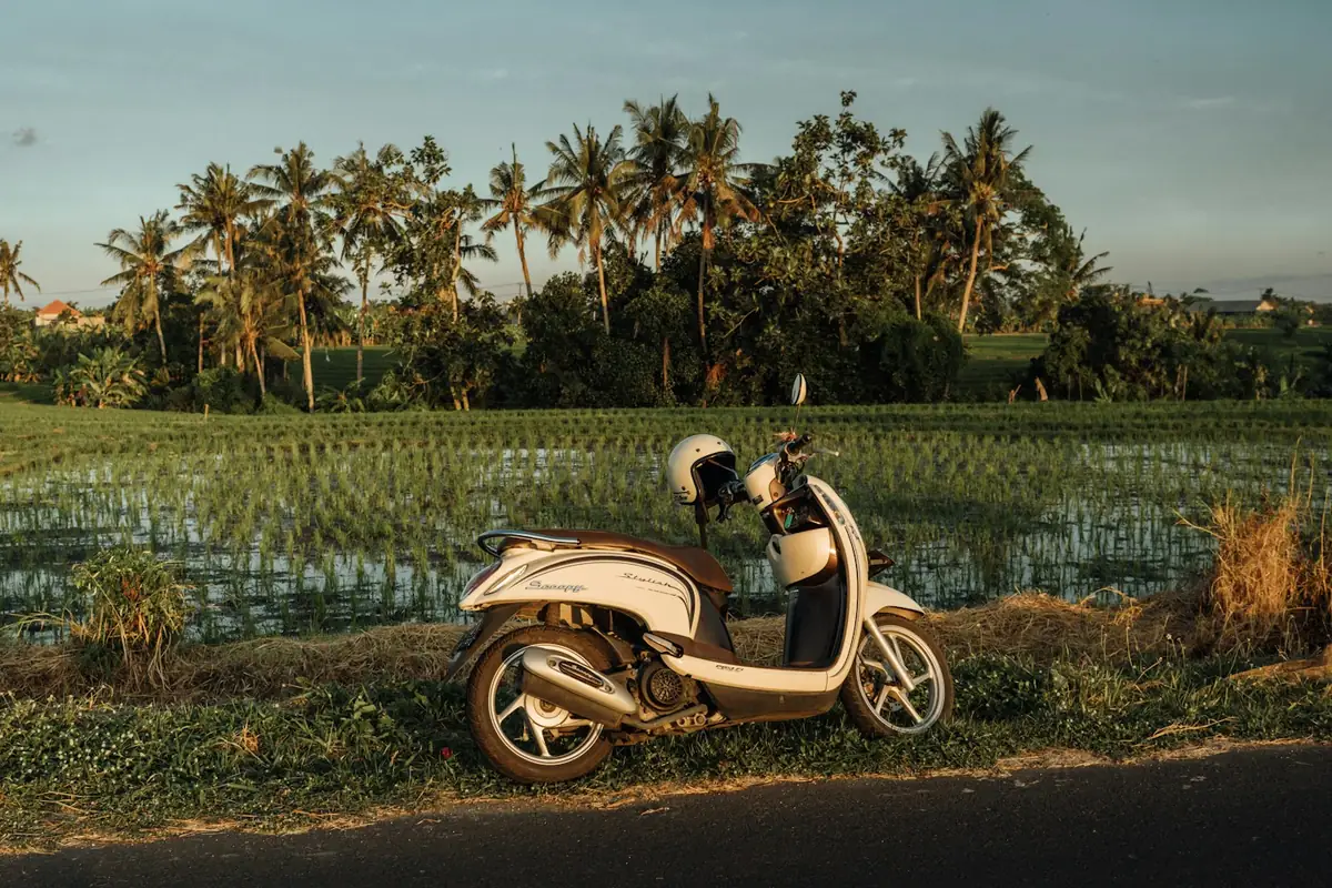 Scooter parked by a rice field with palm trees in Bali