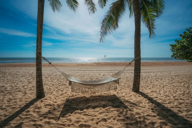 Hammock hanging between palm trees on a tropical beach