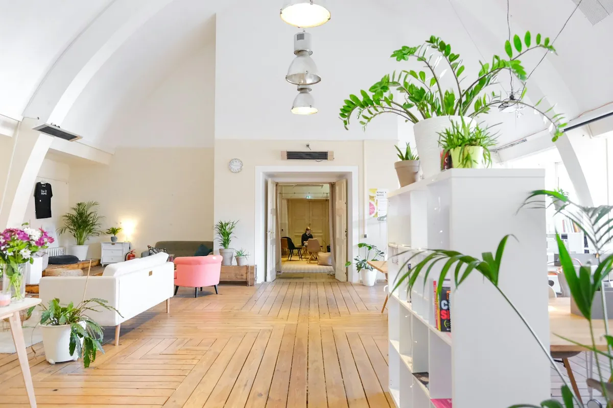 Bright coworking space with plants and wooden floors