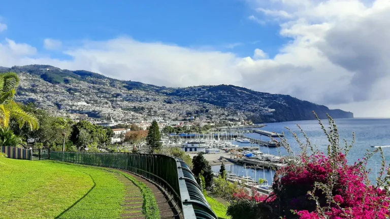 View over Funchal and its harbor on the island of Madeira, Portugal