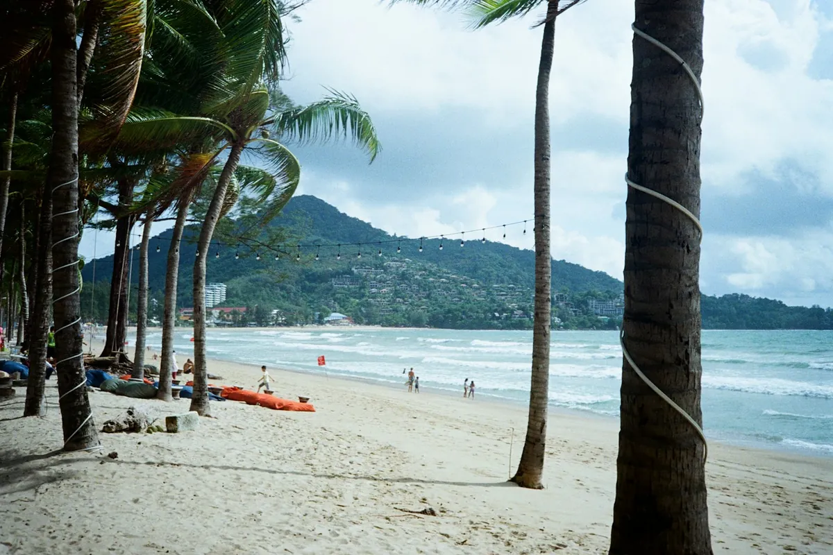 Palmeras en una amplia playa de arena en Phuket