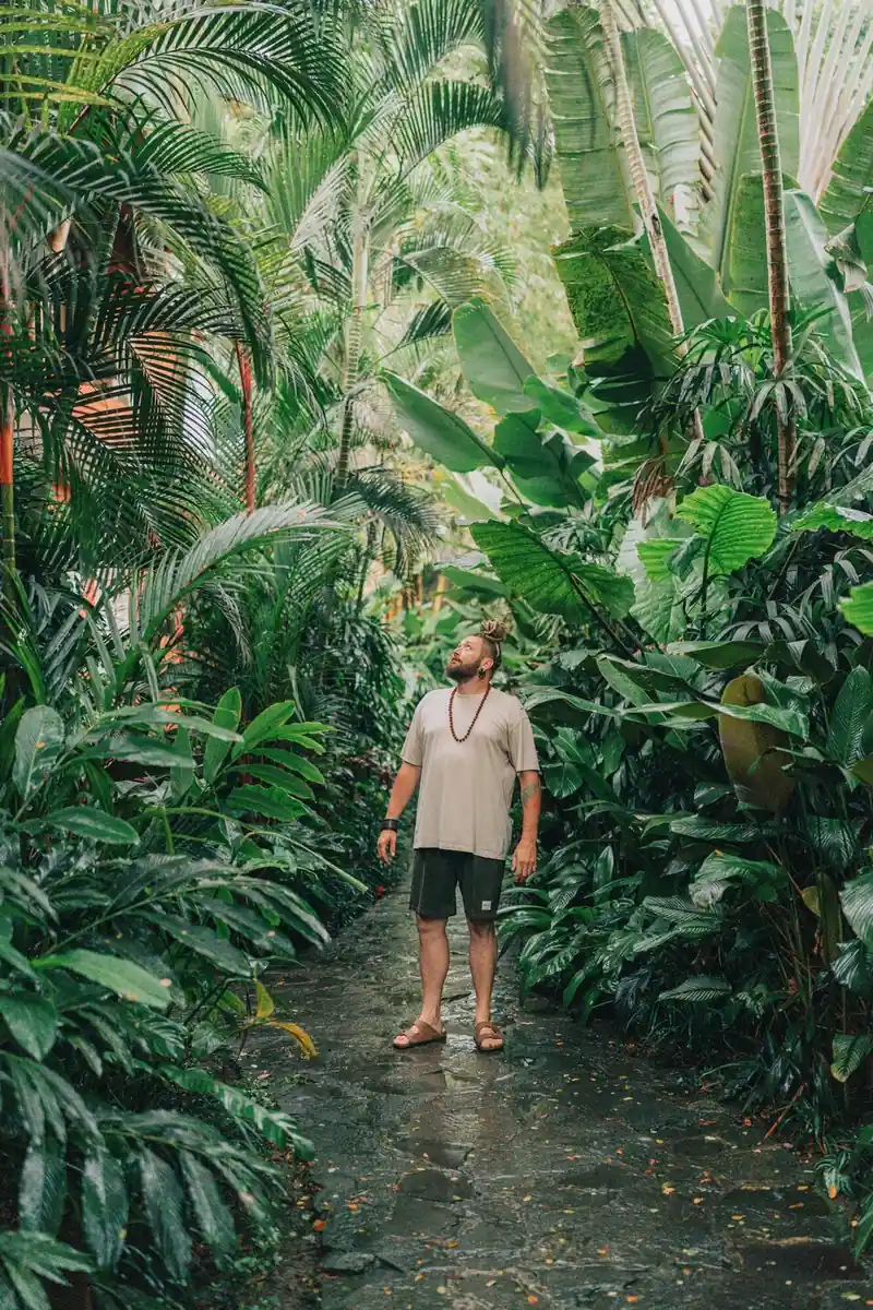 Chenzo walking a green jungle path in Bali, looking up at the palm trees