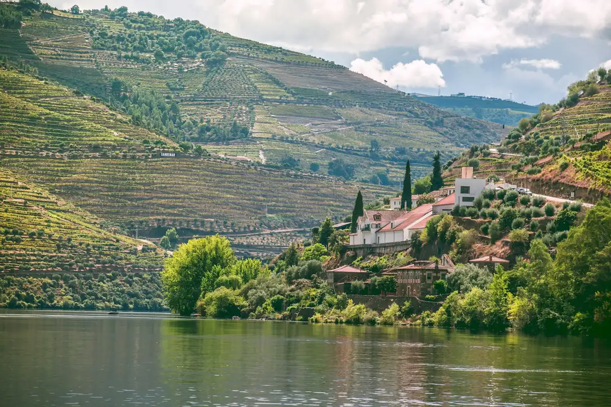 Terraced vineyards and a village along the river in the Douro Valley, Portugal