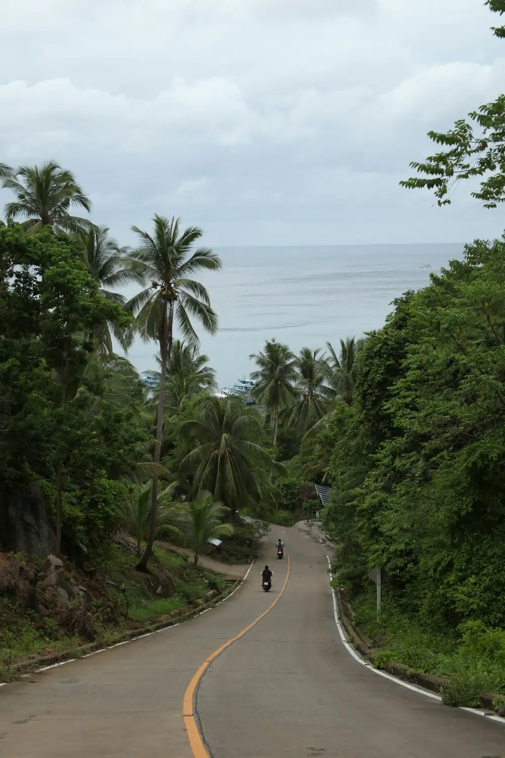 Scooters on a palm-lined road on Koh Phangan, Koh Phangan digital nomad guide