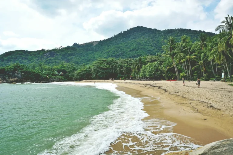 Quiet beach bay with palm trees on Koh Phangan