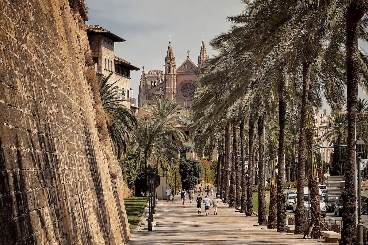 A street lined with palm trees and buildings in Palma de Mallorca