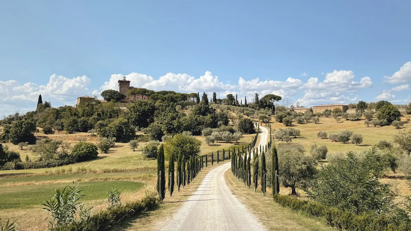 Cypress lined country road through the hills of Tuscany, Italy