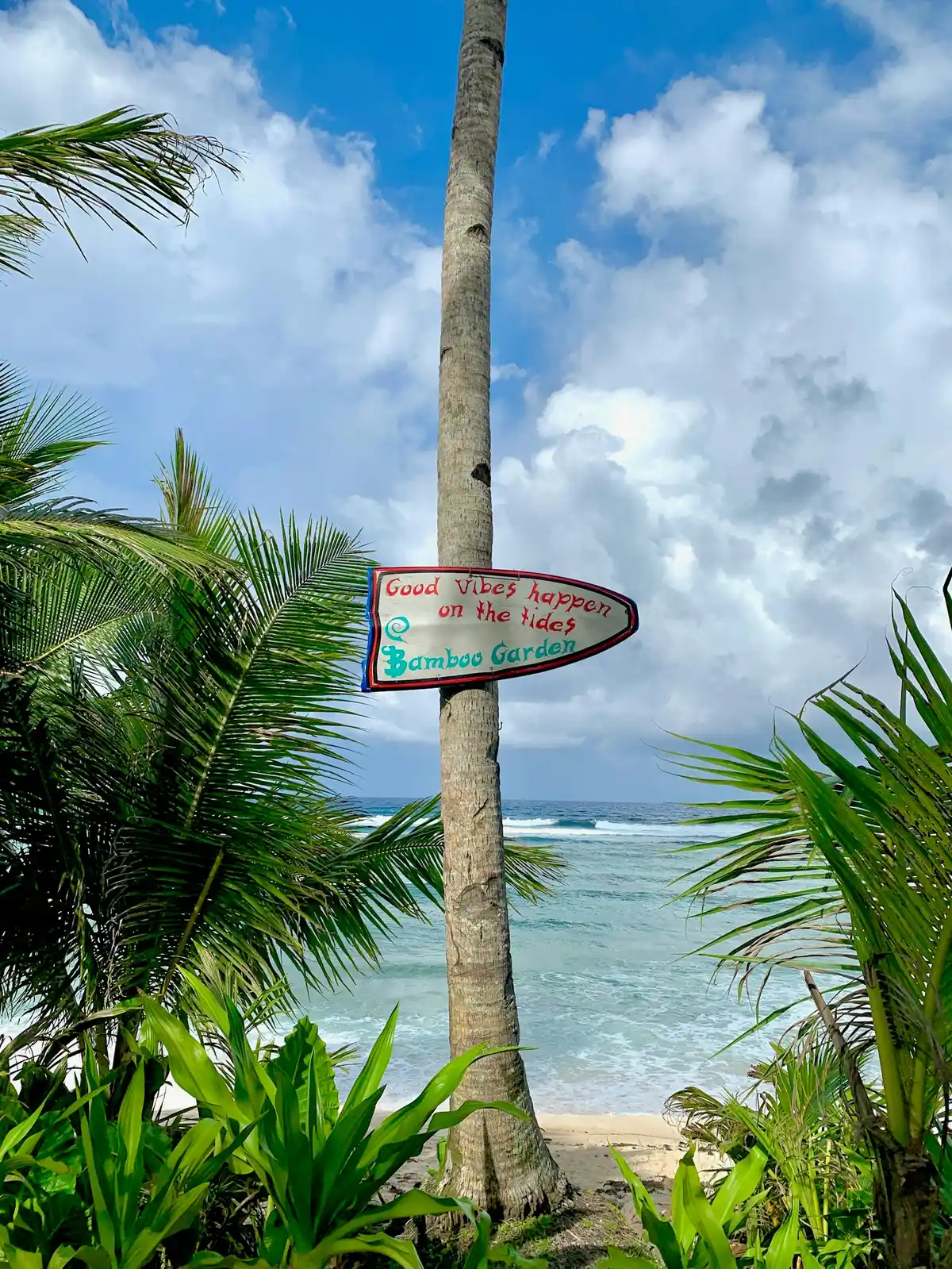 Surfboard welcome sign on a palm tree on Siargao, Siargao digital nomad guide