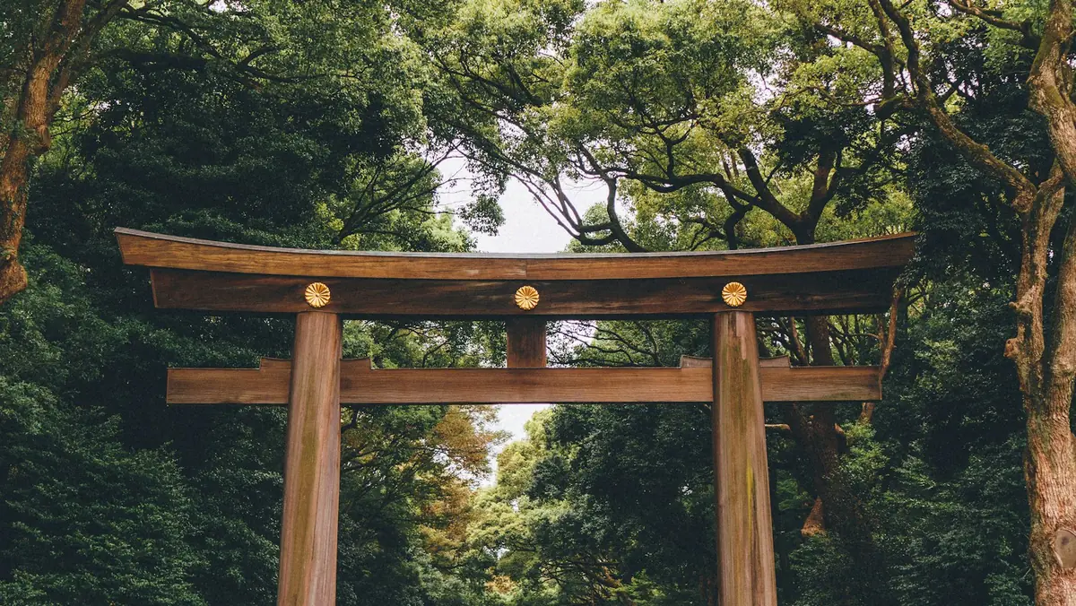 The wooden torii gate leading into the forest at Meiji Shrine, Tokyo