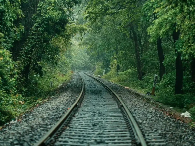 Railway tracks running through dense green jungle in Southeast Asia