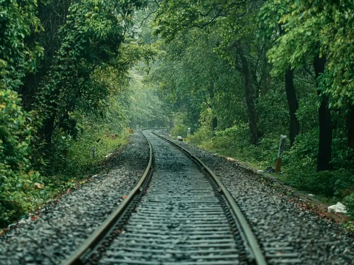 Railway tracks running through dense green jungle in Southeast Asia