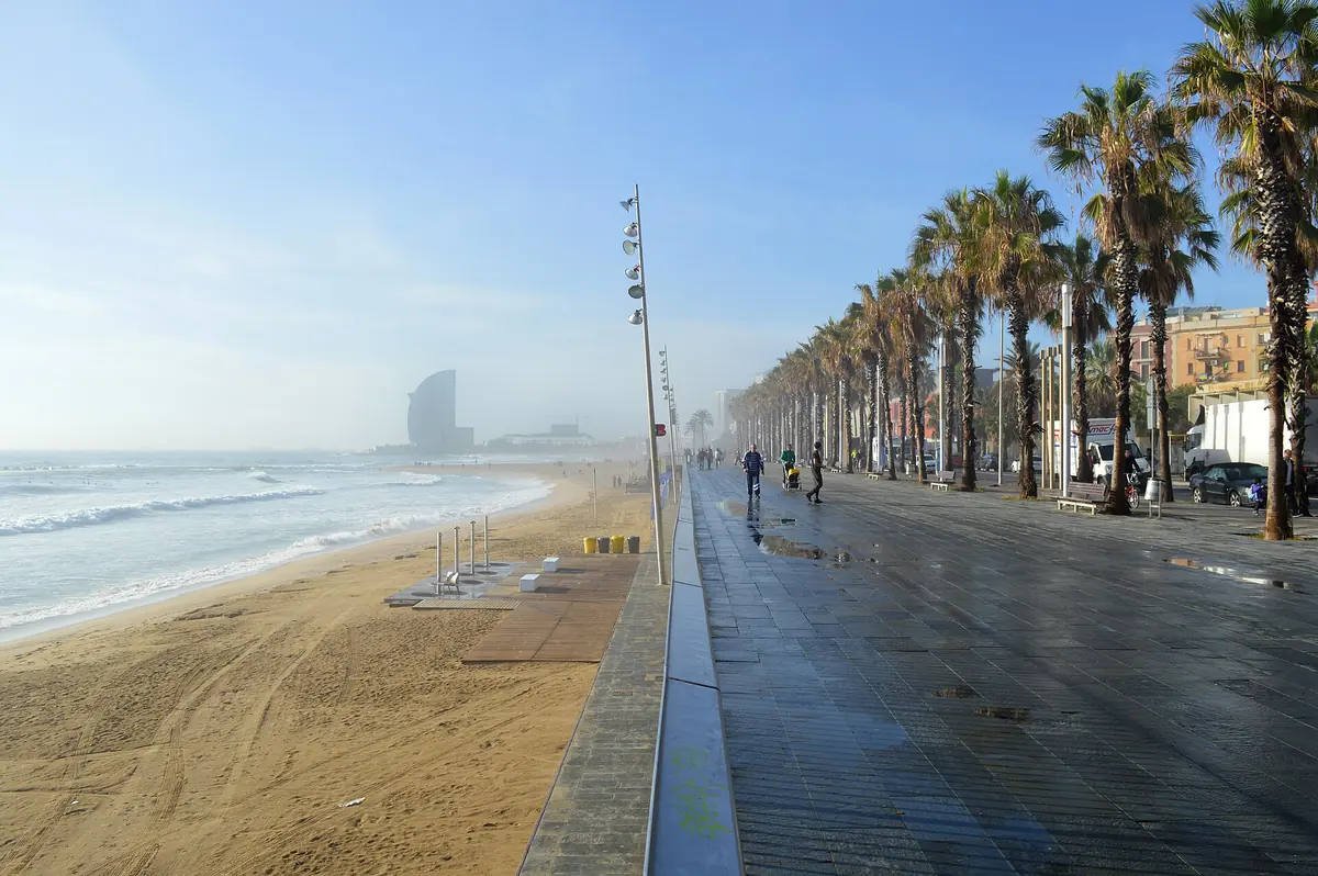 Palm-lined promenade and sandy beach in Barceloneta, Barcelona, with waves and haze