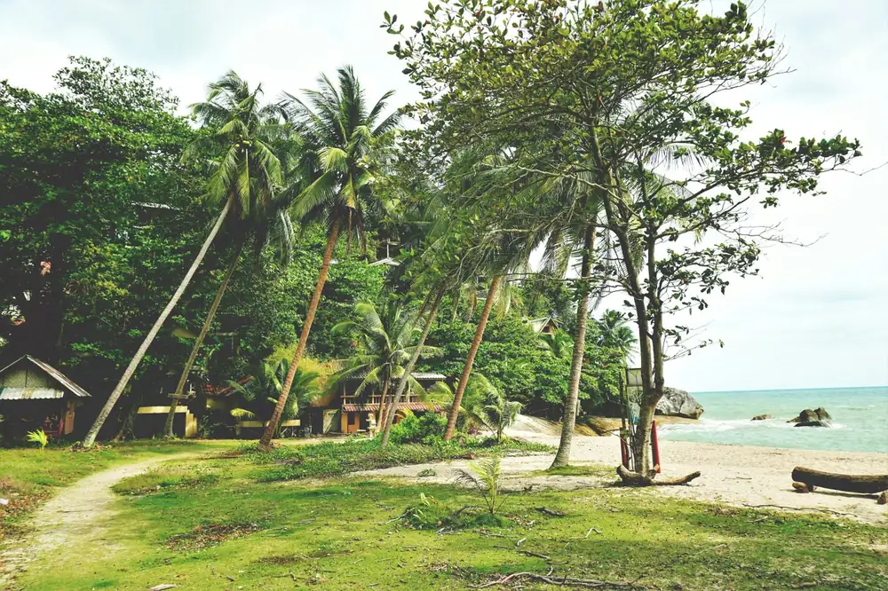 Beach with palm trees and a small hut on Koh Phangan, Thailand