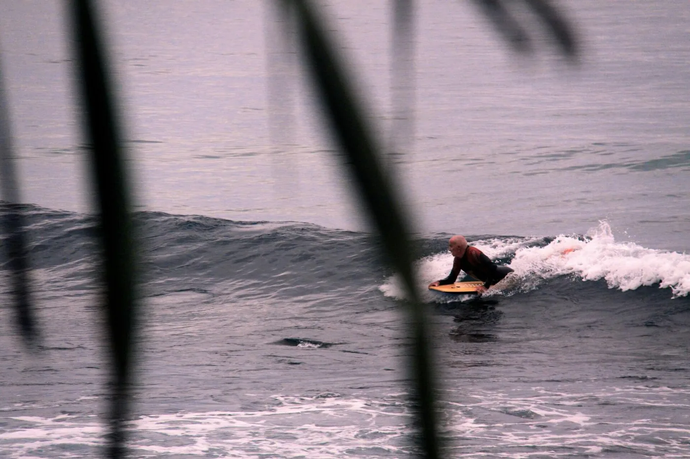 Bodyboarder riding a small wave at Burleigh Heads