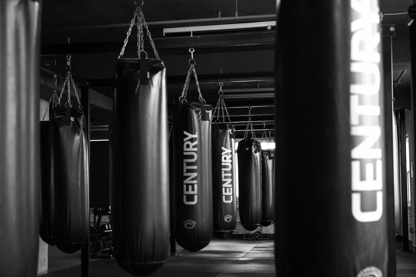 Row of heavy bags hanging in a dark boxing gym