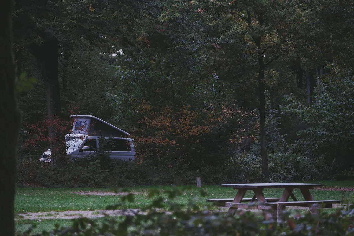 Camper van with a pop-up roof at a forest campsite beside an empty wooden picnic table at dusk