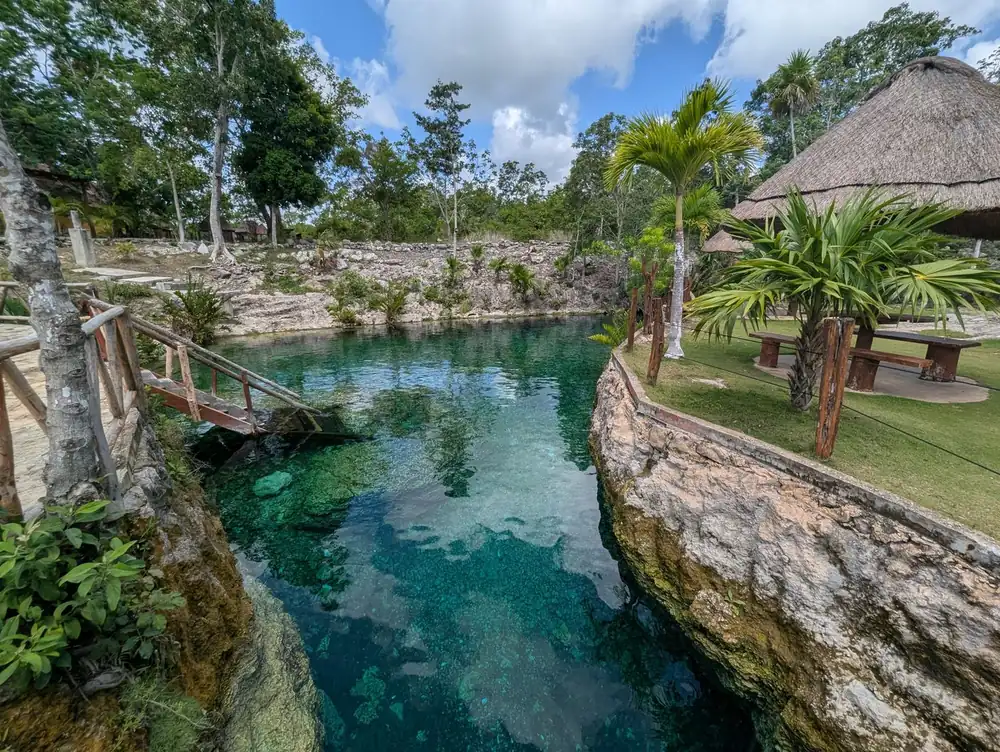 Clear cenote water between rocks and palm trees in Tulum, Mexico