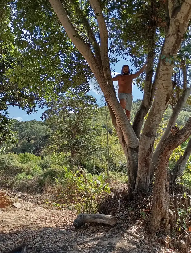 Chenzo, founder of NomadsToolsLab, standing in a big tree on a sunny hillside
