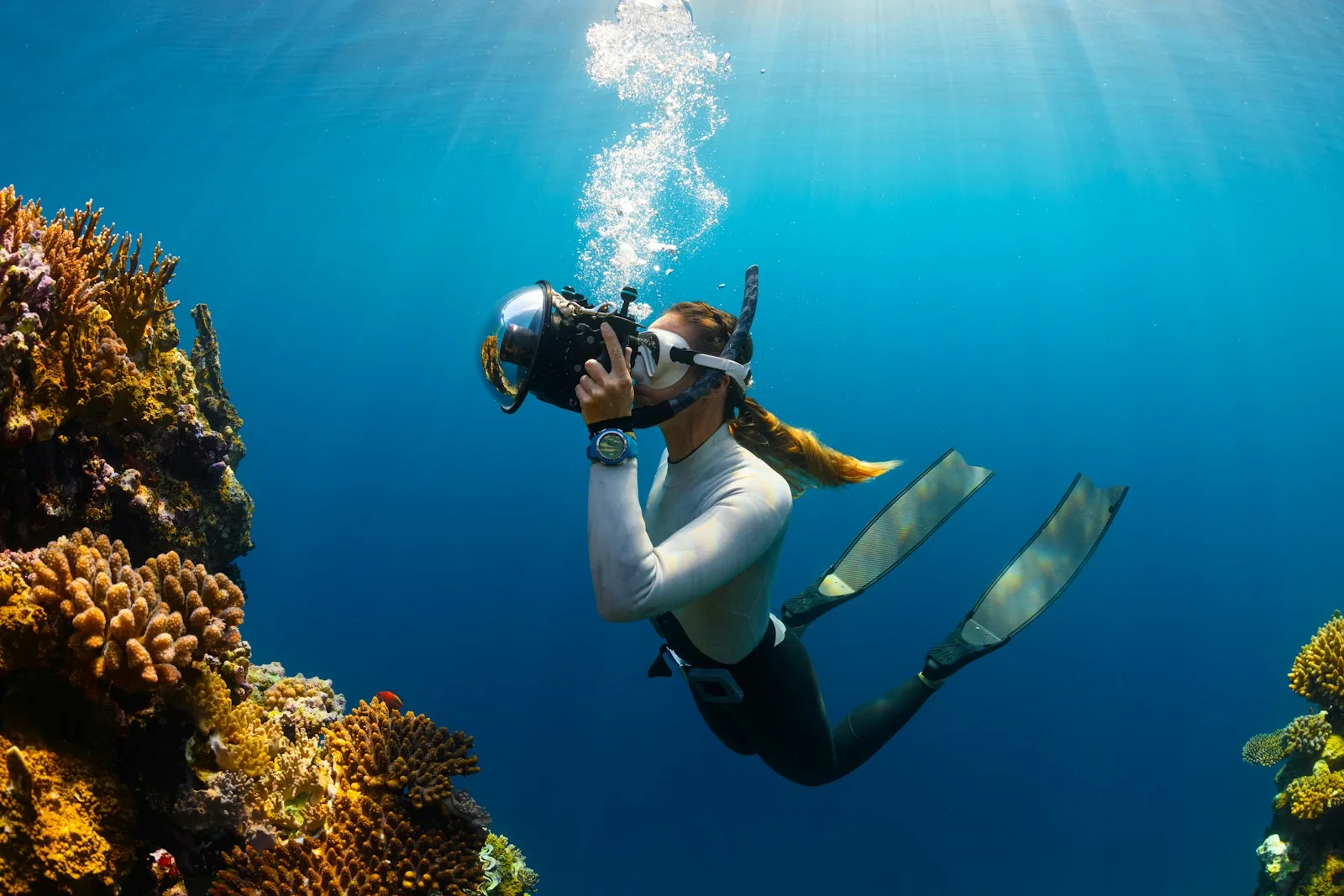 A free diver filming a coral reef with a camera in an underwater housing