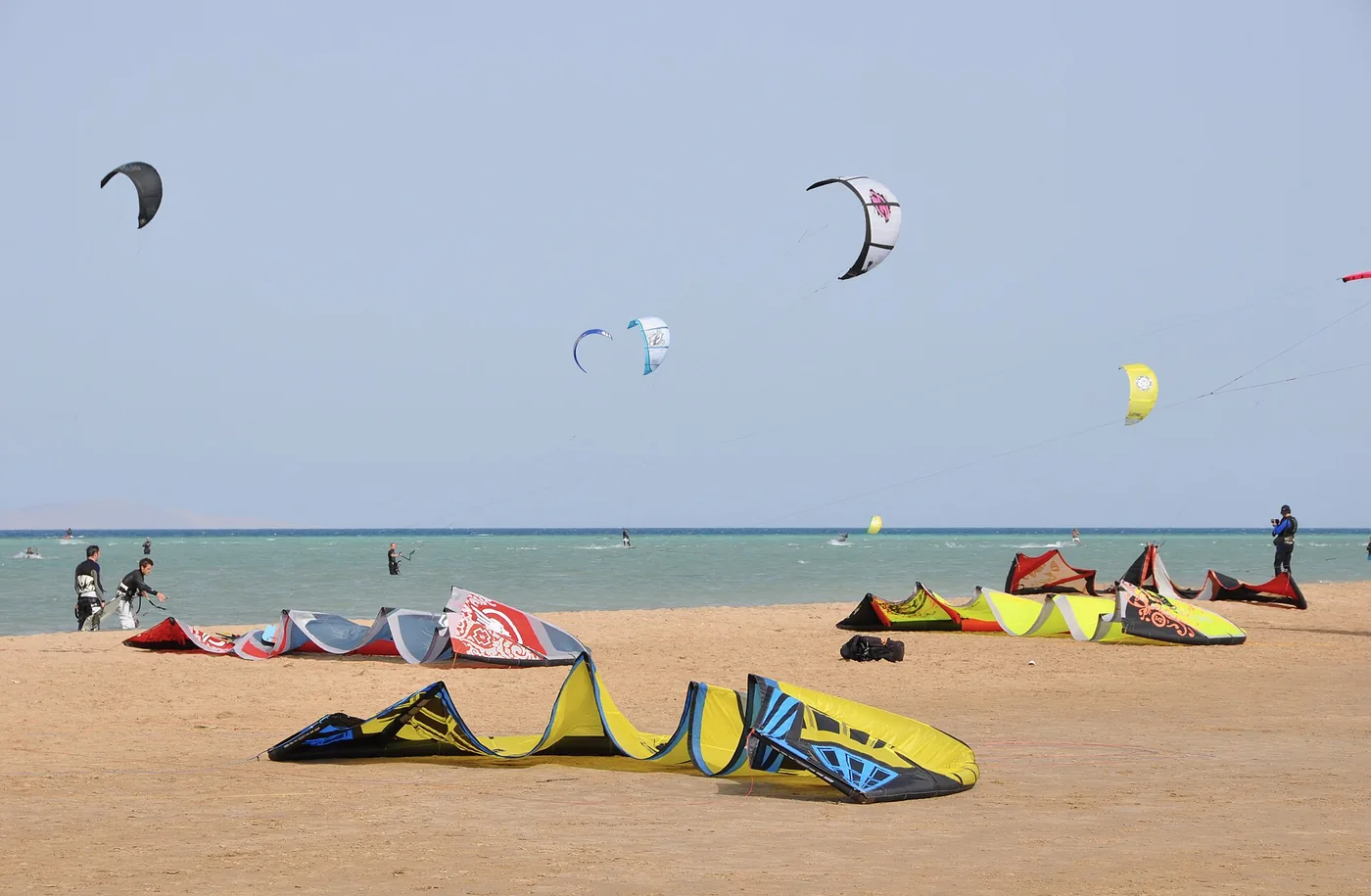 Kites laid out on the sand and kitesurfers over the shallow Red Sea at Mangroovy Beach, El Gouna