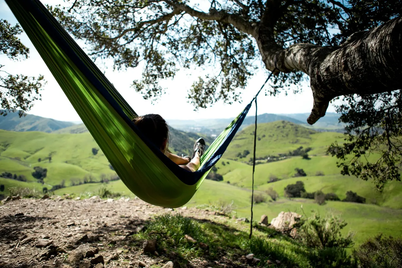 Person in a green hammock under a tree looking over green rolling hills