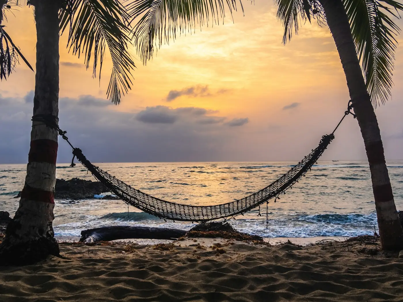 Net hammock strung between palm trees on a beach at sunset