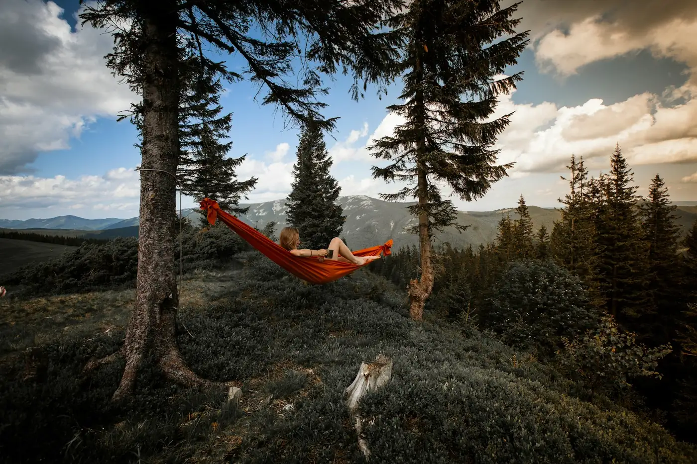 Red hammock hanging between pine trees on a hillside with mountains behind
