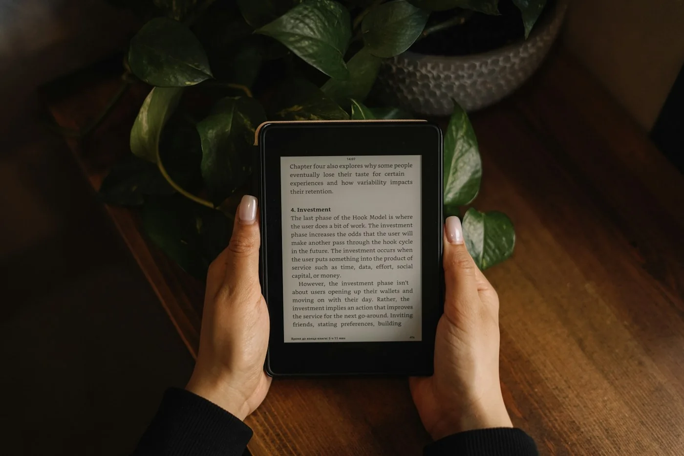 Two hands holding a Kindle e-reader over a wooden table with a plant behind it
