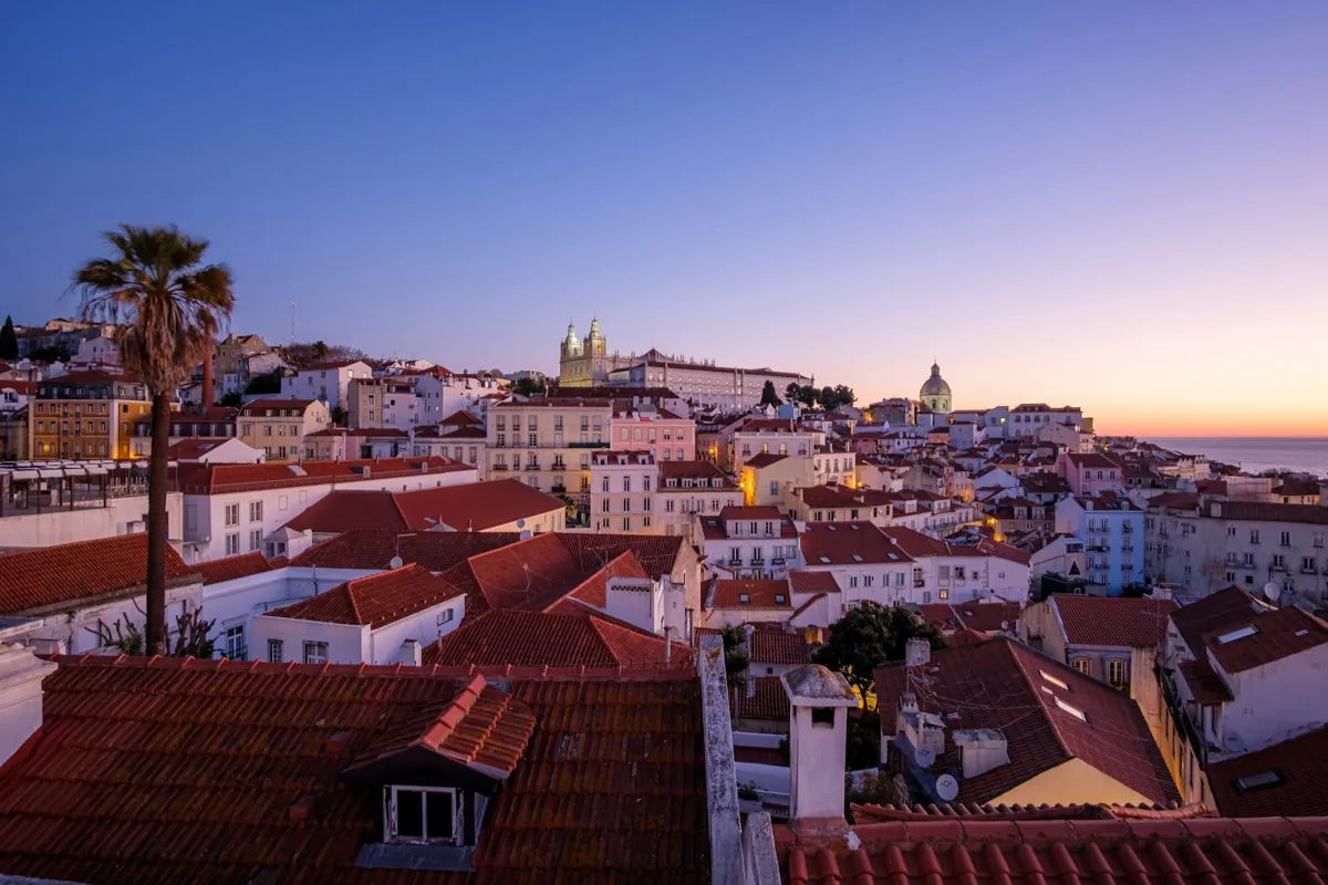 Red rooftops and a palm tree in Lisbon at sunset