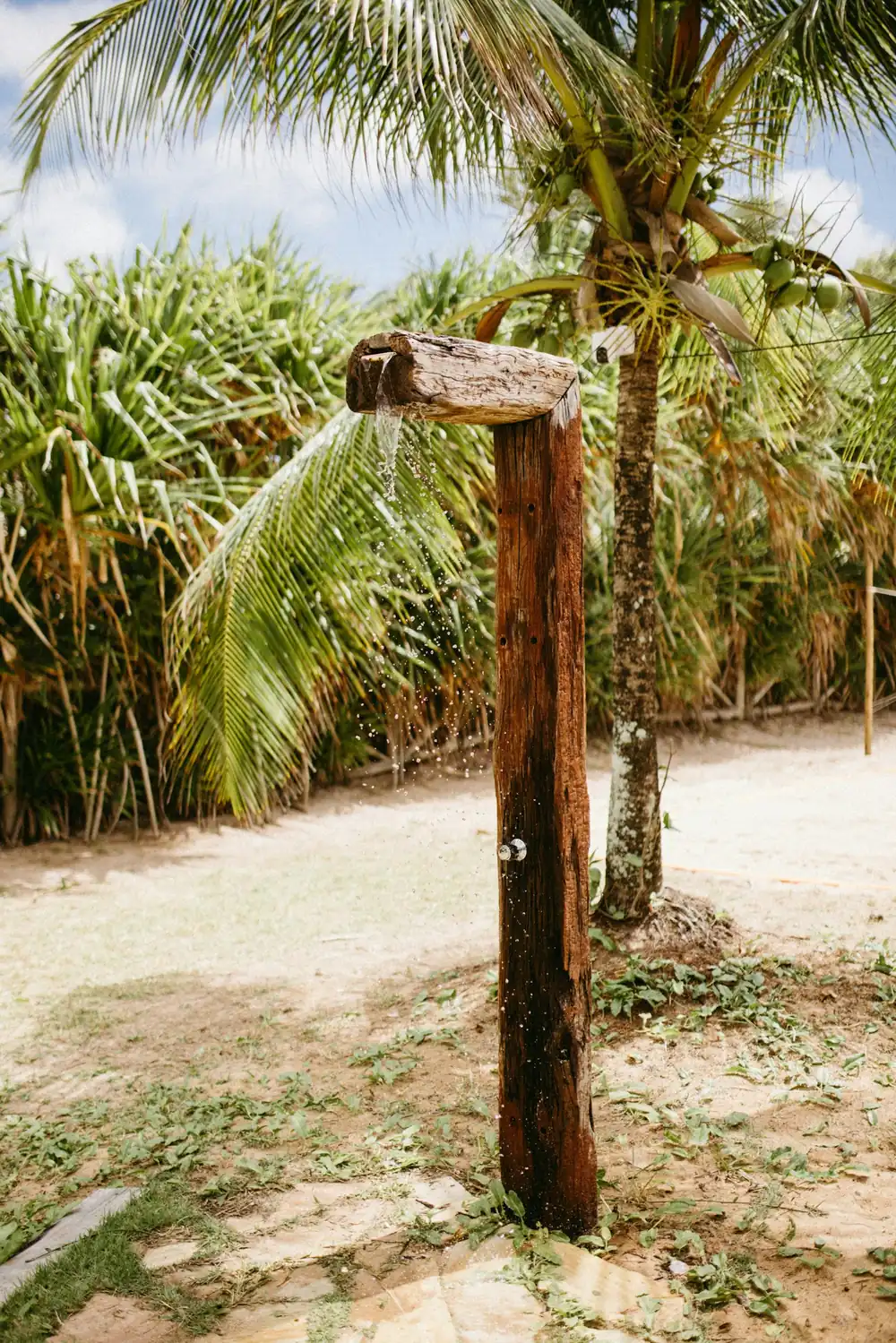 A simple outdoor shower on a wooden post among palm trees on sandy ground