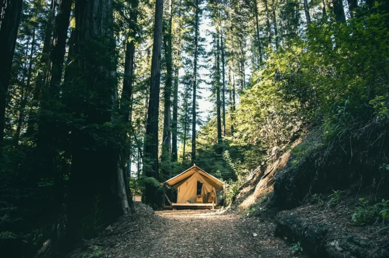 Canvas tent cabin on a forest path between tall redwood trees, a glamping style eco stay
