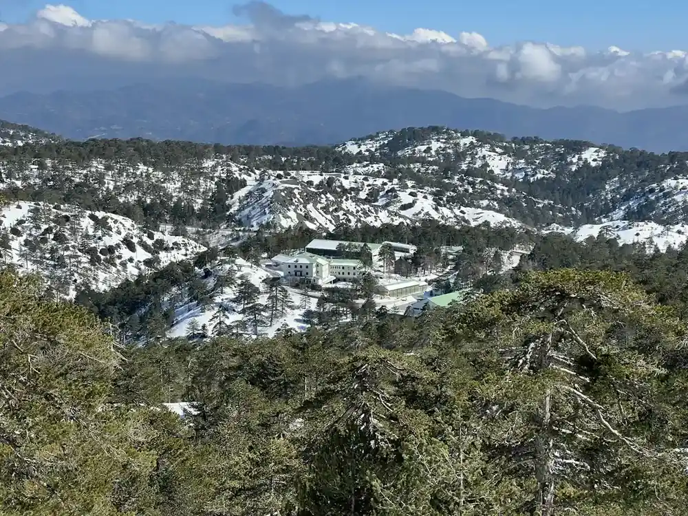 Snowy mountain valley Snowy mountain valley with pine forest and a few buildings