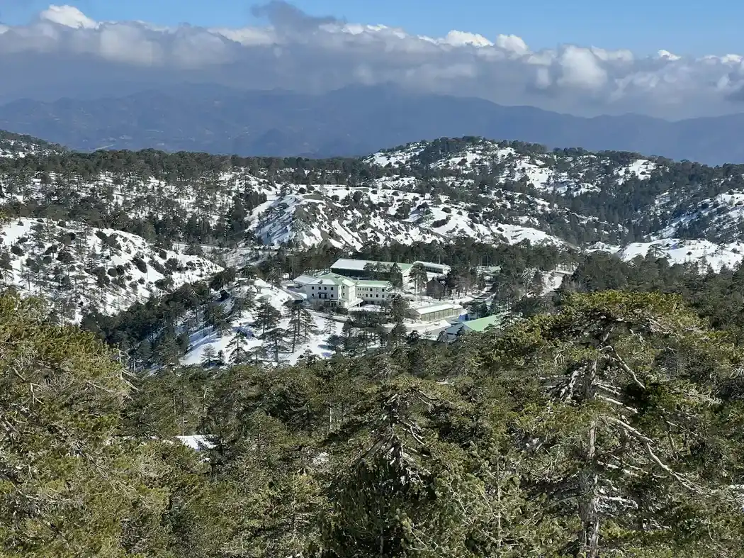 Snowy mountain valley with pine forest and a few buildings