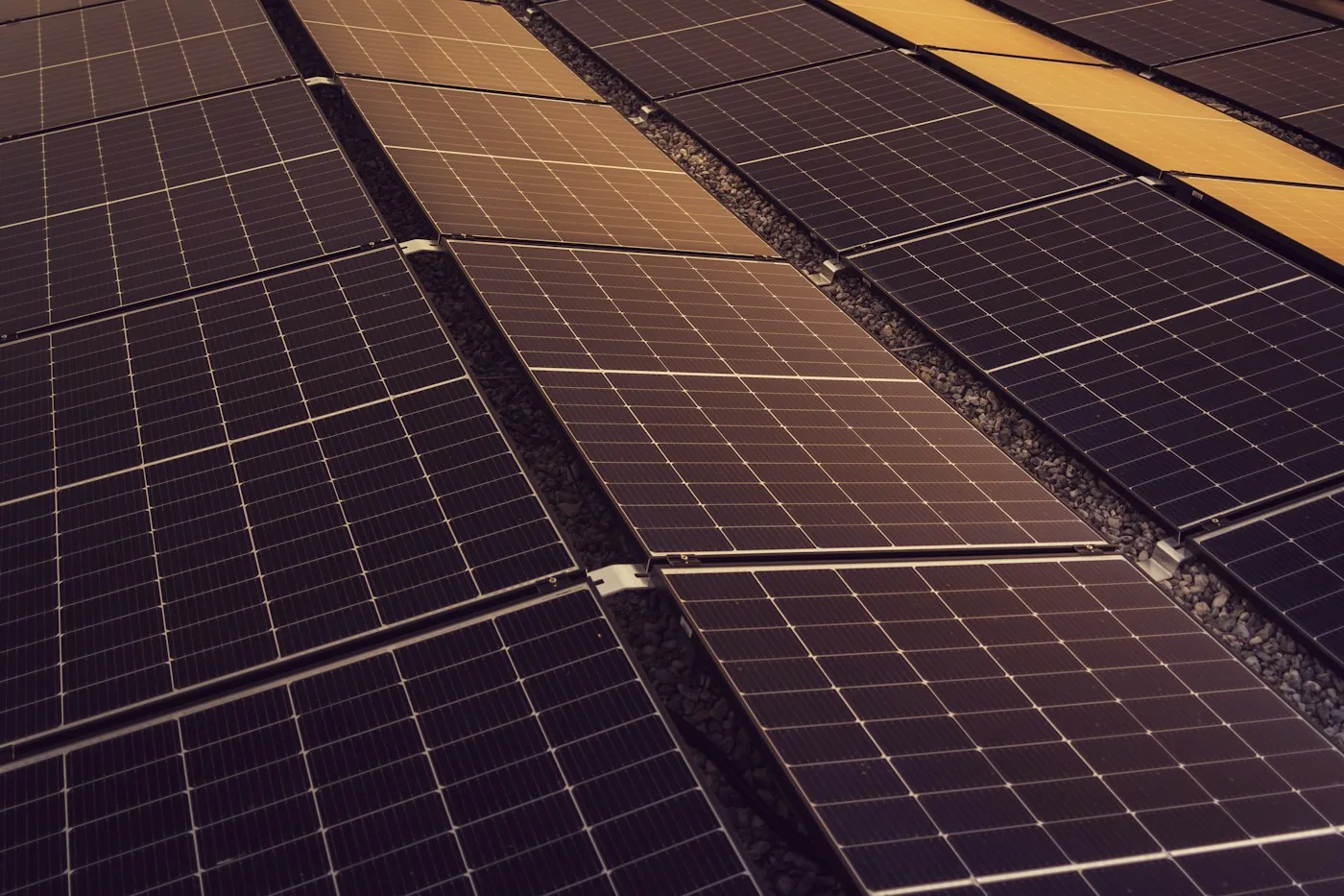 Close-up of solar cells on a panel with thin busbars in warm light