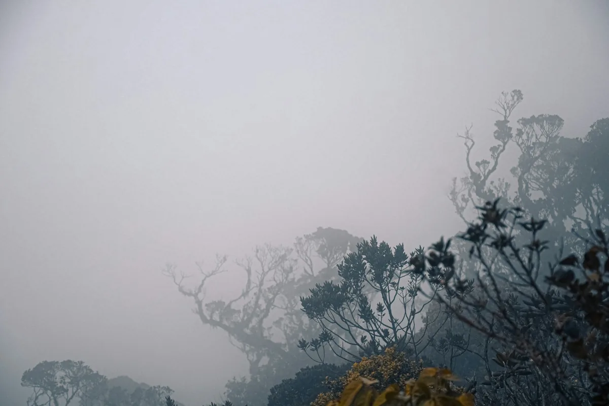 Adam's Peak climb: What to Wear and Pack