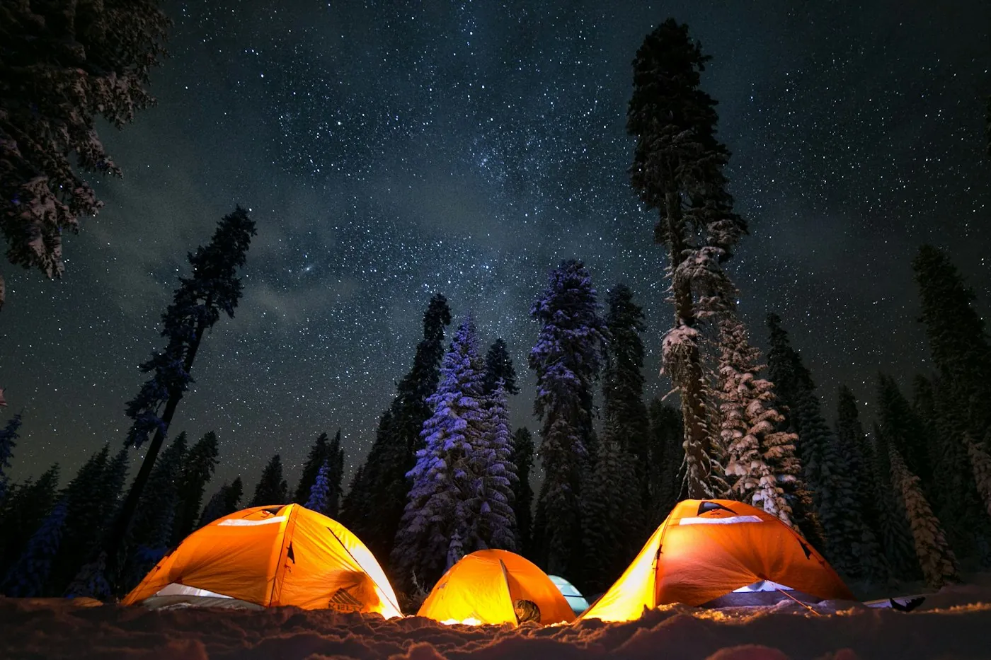 Drei leuchtend orange Zelte unter einem Sternenhimmel zwischen schneebestäubten Kiefern