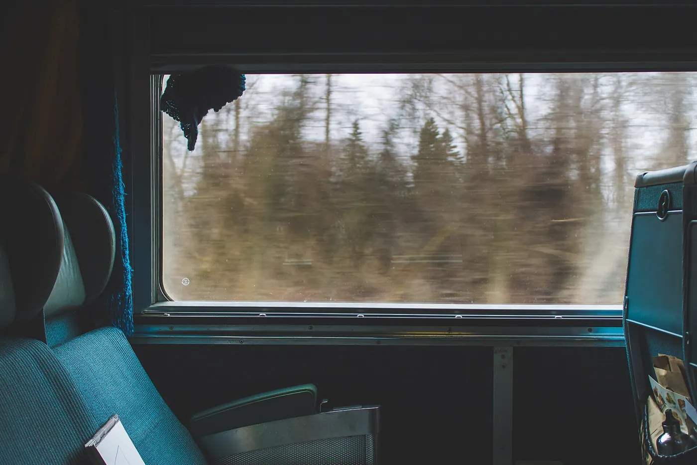 Trees blurring past outside a train window on a long journey