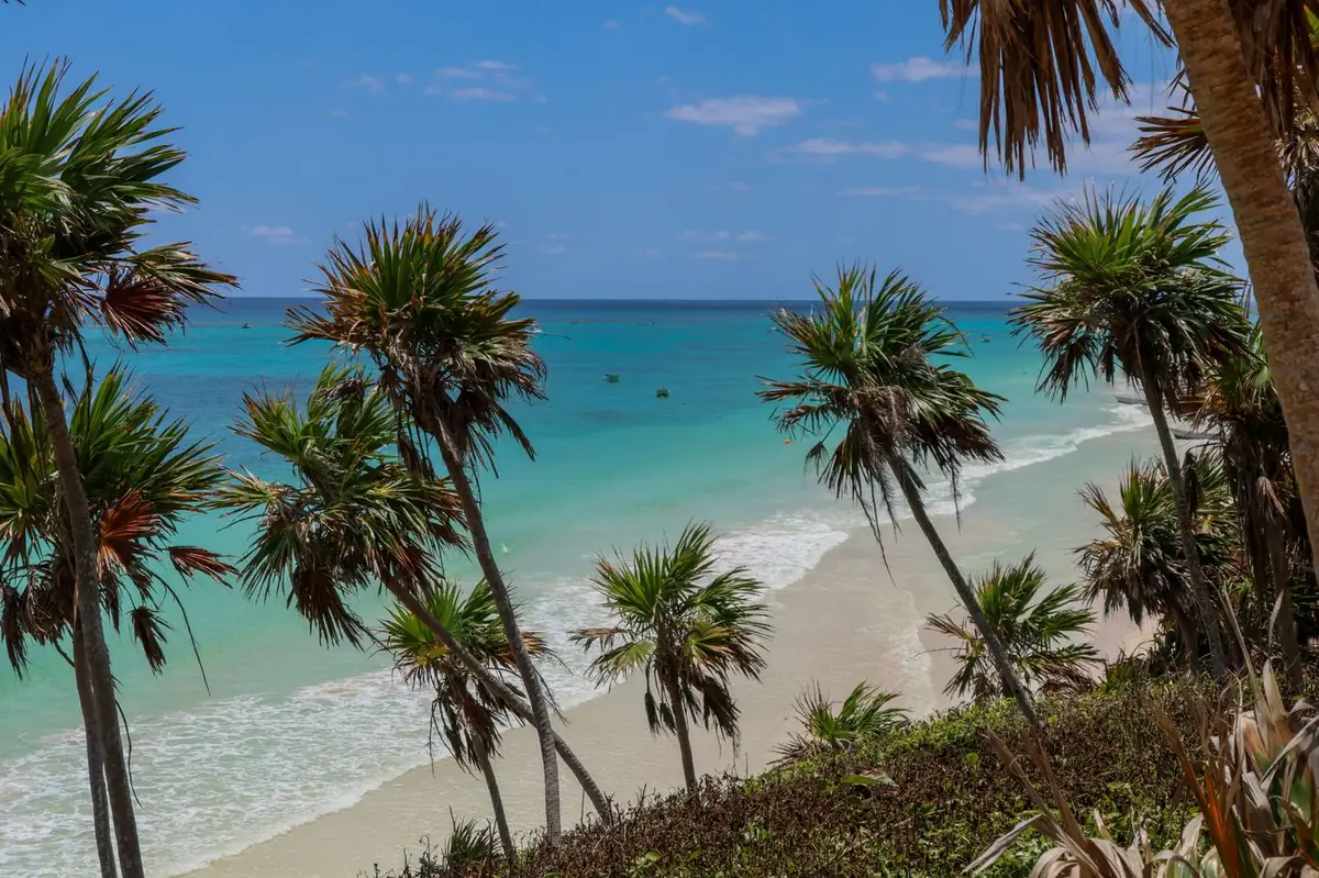White sand beach with palm trees and turquoise water in Tulum, Mexico