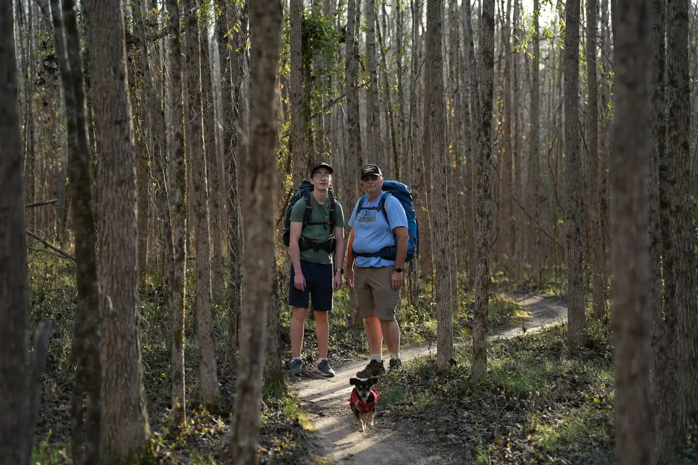Two hikers with backpacks and a small dog standing on a forest trail