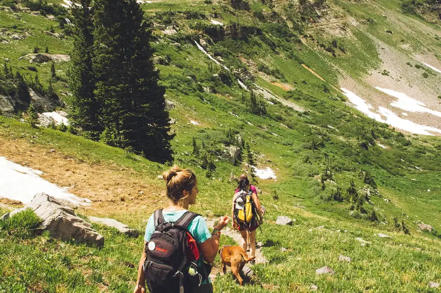 Dos excursionistas con mochilas subiendo por una ladera de montaña verde