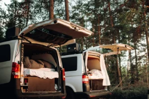 Two white vans with open back doors and beds inside, parked in a pine forest